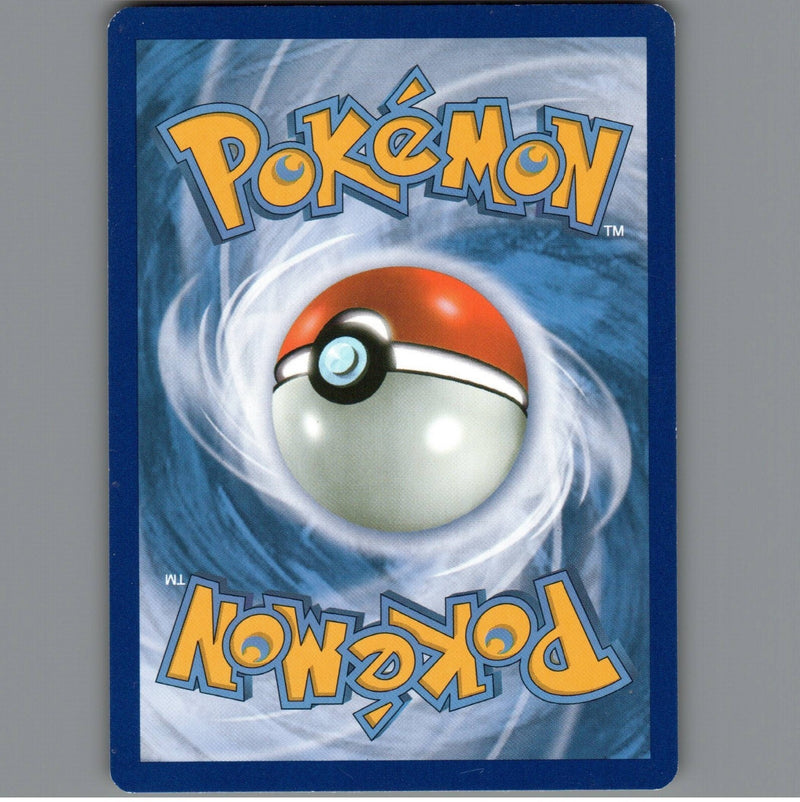 Load image into Gallery viewer, 7098325
