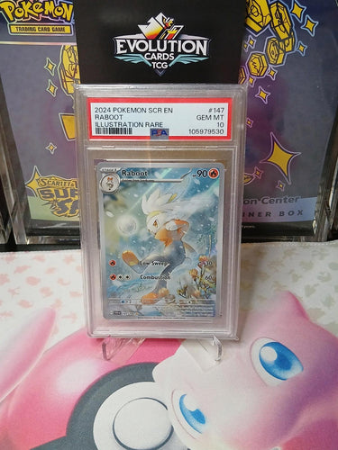 Pokemon TCG -  Raboot 147/142 Illustration Rare Holo Stellar Crown Card PSA 10